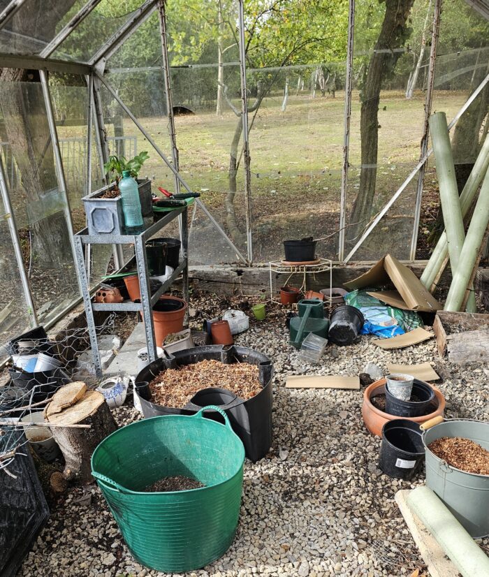 picture of a greenhouse in a real mess